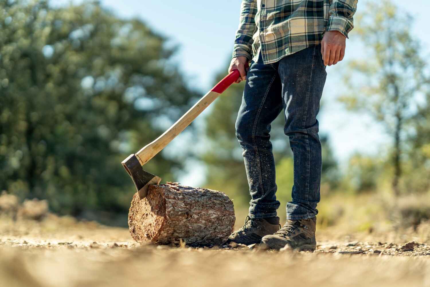 Best Tree Stump Removal  in Indian River Shores, FL